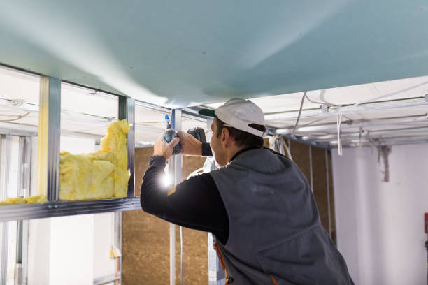 Types of Insulation We Offer in Eddington, PA