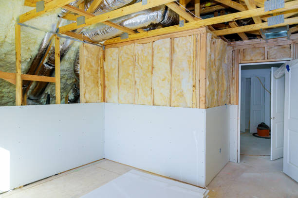 Best DIY Insulation Kits and Guidance in Eddington, PA