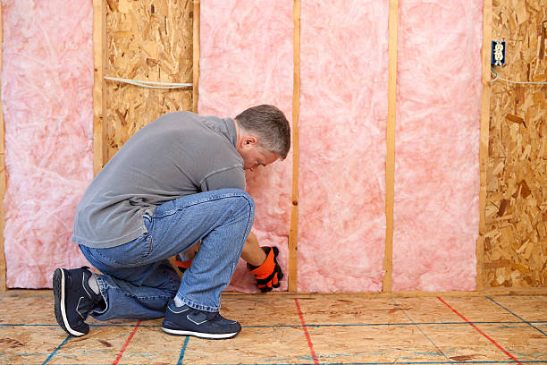 Best Cellulose Insulation in Eddington, PA